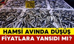 Hamsi avında düşüş başlayınca fiyatlarda artış yaşandı