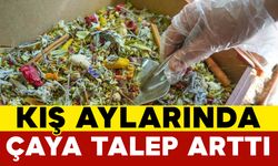 Havaların soğuması kış çaylarına talebi arttırdı