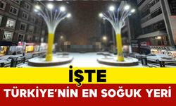 İşte Türkiye’nin en soğuk yeri