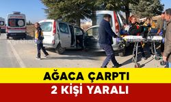 Karaman’da kontrolden çıkan hafif ticari araç ağaca çarparak durabildi: 2 yaralı