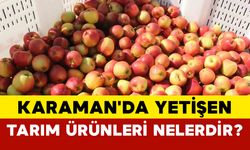 Karaman'da yetişen tarım ürünleri nelerdir?