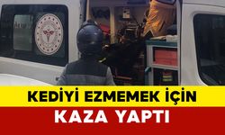 Kediyi ezmemek için kaza yaptı