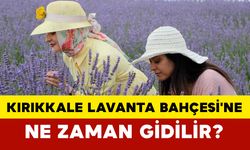 Kırıkkale Lavanta Bahçesi'ne Ne Zaman Gidilir?