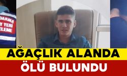 Kocaeli'de Ağaçlık Alanda Genç Bir Kişi Ölü Bulundu