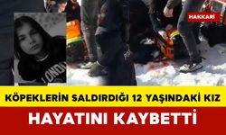 köpeklerin boynundan ısırdığı 12 yaşındaki kız hayatını kaybetti