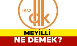 Meyilli Ne Demek?