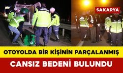 Otoyolda feci ölüm: Bir kişinin parçalanmış cansız bedeni bulundu