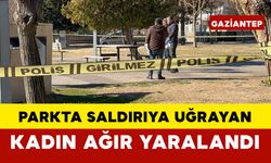 Parkta saldırıya uğrayan kadın ağır yaralandı