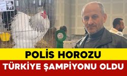 Polis horozu Türkiye şampiyonu oldu