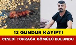 Şanlıurfa'da Toprağa Gömülü Erkek Cesedi Bulundu