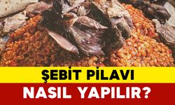 Şebit pilavı nasıl yapılır?