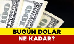 Serbest piyasada döviz fiyatları ne kadar?