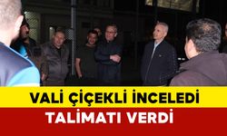 Vali Çiçekli, Işıklandırma Sorununu Çözmek İçin Talimat Verdi