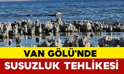 Van Gölü'nde Susuzluk Tehlikesi