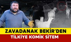 "Zavadanak" Sözleriyle Tanınan Bekir Varol’un Yeni Derdi: Tilkiler