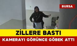 Zillerin Ardından Kameraya Göbek Atarak Yanıt Verdi