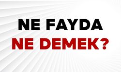 Ne Fayda Ne Demek?