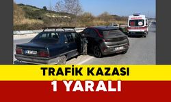 Aydın'da kazada 1 kişi yaralandı