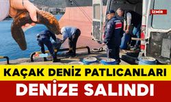 İzmir’de yasadışı yollarla avlanan deniz patlıcanları denize salındı