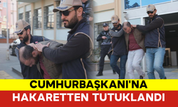 Mut İlçesi’nde Cumhurbaşkanı'na Hakaretten Tutuklandı