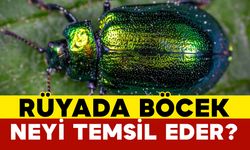Rüyada böcek neyi temsil eder?