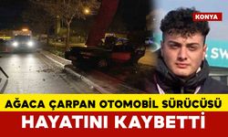 Ağaca çarpan otomobilin sürücüsü hayatını kaybetti