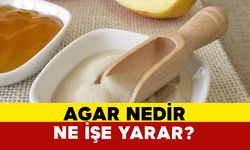 Agar Nedir ve Ne İşe Yarar?
