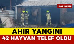 Ahır yangını: 42 küçükbaş hayvan telef oldu