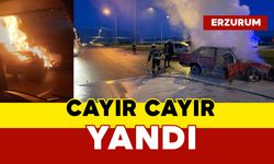 Araç cayır cayır yandı, kullanılamaz hale geldi