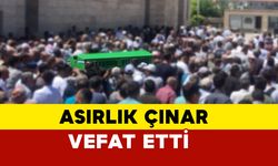 Asırlık çınar Hürü nine vefat etti