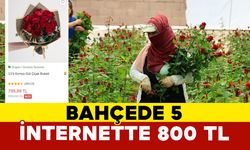 Bahçede 5 çiçek sitelerinde 800 TL