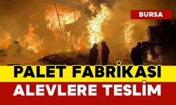 Bursa'da Palet Fabrikasında Korkutan Yangın