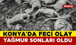 Cihanbeyli'de Yaşanan Felaket Köylüyü Yasa Boğdu