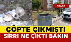 Çöpte bulunan kafatasının sırrı bakın ne çıktı