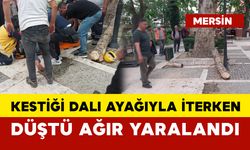 Dengesini kaybetti 5 metreden beton zemine düştü