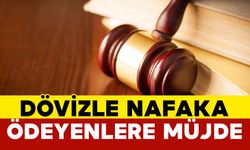 Dövizle Nafaka Ödeyenlere Müjde