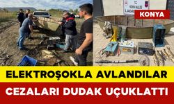 Elektroşokla Avlandılar: Cezaları Dudak Uçuklattı