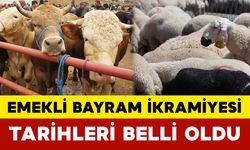 Emekli Bayram İkramiyesi Tarihleri Belli Oldu