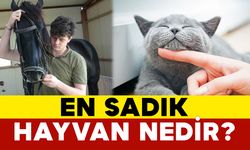 En Sadık Hayvan Nedir?