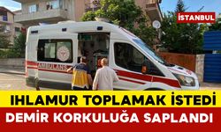 Ihlamur toplamak için çıktığı ağaçtan düşerek demir korkuluklara saplandı