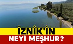 İznik'in neyi meşhur?