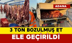 Jandarma 3 ton bozulmuş et ele geçirdi