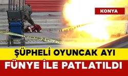 Kaldırımdaki oyuncak ayı fünye ile patlatıldı
