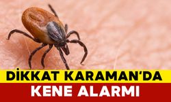 Karaman İl Tarım ve Orman Müdürlüğü Uyardı: Kenelere Karşı Dikkatli Olunmalı