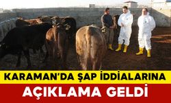 Karaman’da Şap Hastalığı Alarmı: 9 Köy ve 1 Belde Karantinaya Alındı