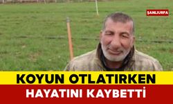 Koyun otlatırken hayatını kaybetti