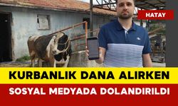 Kurbanlık dana alırken sosyal medyada 200 bin TL dolandırıldı