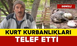 Kurt kurbanlıkları parçaladı