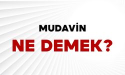 Mudavin Ne Demek?