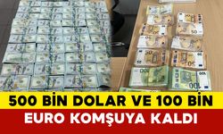 Otobüs buzdolabında 510 bin dolar, tırın su tankında 100 bin euro yakalandı
